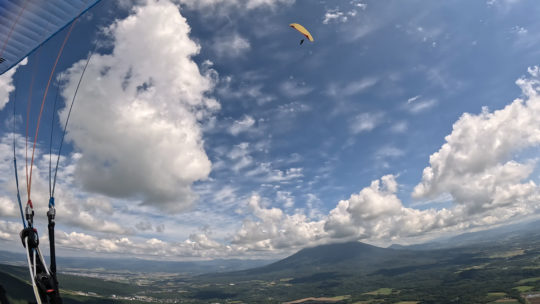 2025年　フライトまとめ